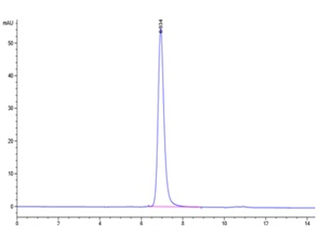 Recombinant human IL-12 protein, C-His-Avi (HEK293)
