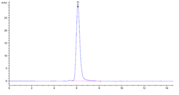 Recombinant human ErbB3 / Her3 protein, C-His-Avi (HEK293)