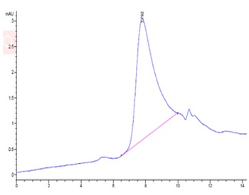 Recombinant human BCMA (Trimer) protein, C-His-Avi (HEK293)