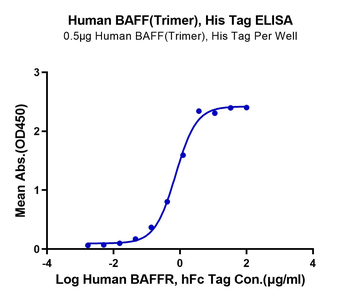Recombinant human TNFSF13B (Trimer) protein, N-His-Flag (HEK293)
