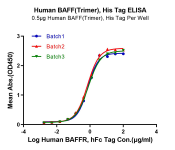 Recombinant human TNFSF13B (Trimer) protein, N-His-Flag (HEK293)