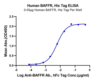 Recombinant human BAFFR protein, C-His (HEK293)