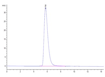Recombinant Cyn. monkey ACE2 protein, C-His-Avi (HEK293)