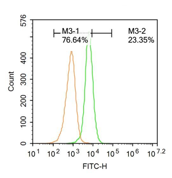 Caspase-9 Rabbit Polyclonal Antibody (FITC)