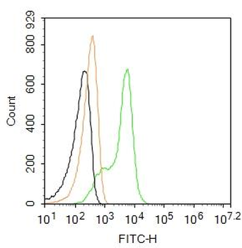CD4 Rabbit Polyclonal Antibody (FITC)