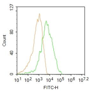 Integrin beta 1 Rabbit Polyclonal Antibody (FITC)