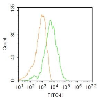 CD45 Rabbit Polyclonal Antibody (FITC)