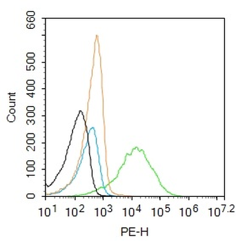 5 MethylCytosine Rabbit Polyclonal Antibody