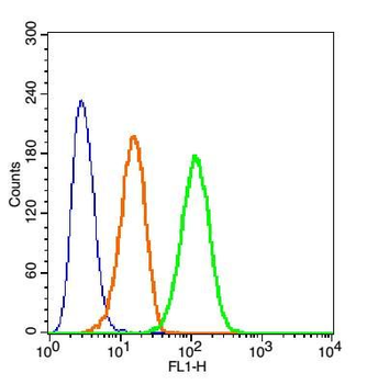 Cyclooxygenase 2 Rabbit Polyclonal Antibody (FITC)