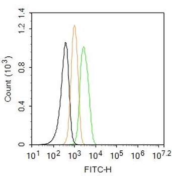 Cytochrome C Rabbit Polyclonal Antibody (FITC)