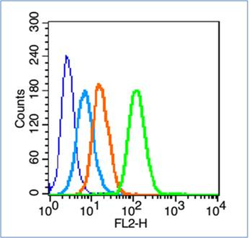 14-3-3 Tau Rabbit Polyclonal Antibody