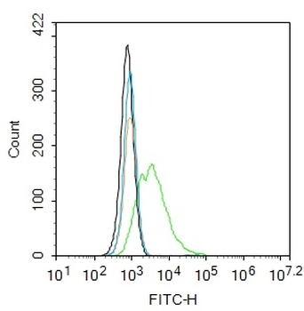 Phospho-AKT1 (Ser473 + Tyr474) Rabbit Polyclonal Antibody