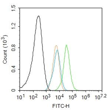 Phospho-Bcl2 (Ser87) Rabbit Polyclonal Antibody
