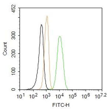 Fas Ligand Rabbit Polyclonal Antibody (FITC)