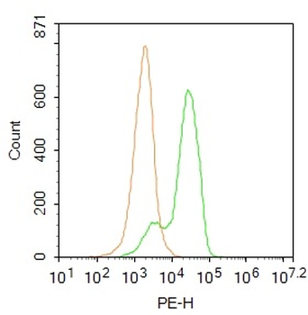 Complement component C9a Rabbit Polyclonal Antibody