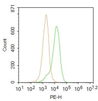 Complement component C9b Rabbit Polyclonal Antibody