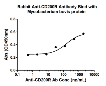 CD200R Rabbit Polyclonal Antibody