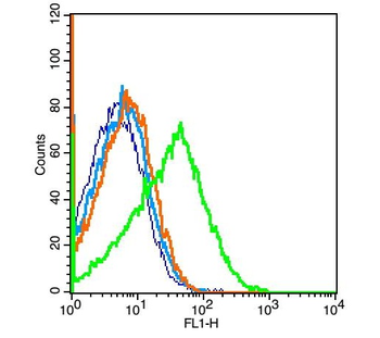 CHRNA1 Rabbit Polyclonal Antibody