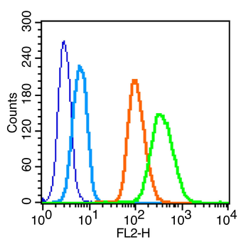 Phospho-c-Kit (Tyr568 + Tyr570) Rabbit Polyclonal Antibody