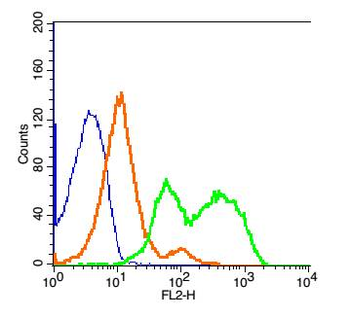 TYROBP Rabbit Polyclonal Antibody