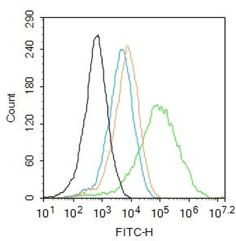 DNASE1L1 Rabbit Polyclonal Antibody