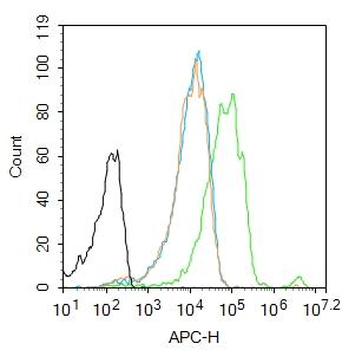 Phospho-FAK (Tyr576) Rabbit Polyclonal Antibody