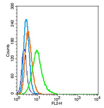 GABRA2 Rabbit Polyclonal Antibody