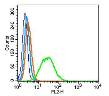 GPM6B Rabbit Polyclonal Antibody