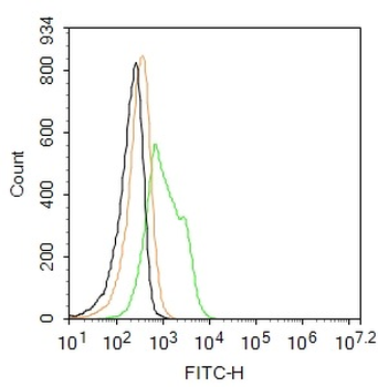CHI3L1 Rabbit Polyclonal Antibody (BF488)
