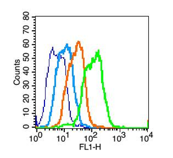 GPR125 Rabbit Polyclonal Antibody