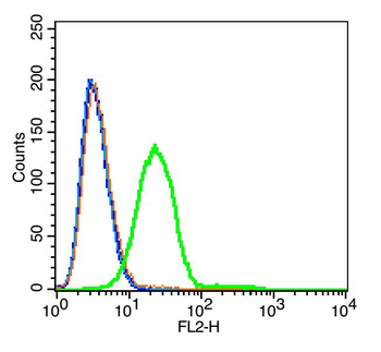 GPR27 Rabbit Polyclonal Antibody