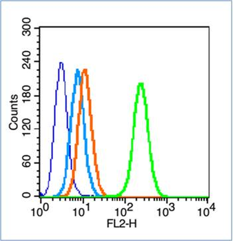 HFE Rabbit Polyclonal Antibody