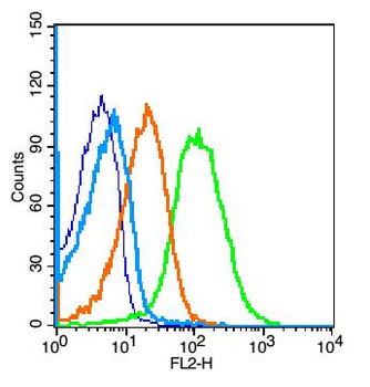 HGFA Inhibitor 2 Rabbit Polyclonal Antibody