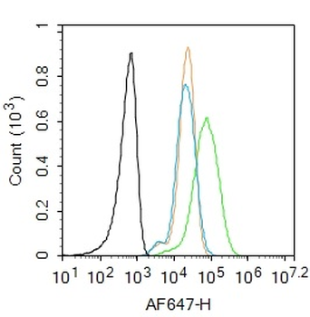 IL-1 Alpha Rabbit Polyclonal Antibody