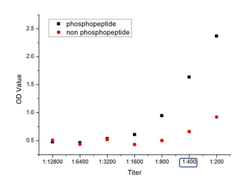 Phospho-IRAK1 (Thr209) Rabbit Polyclonal Antibody