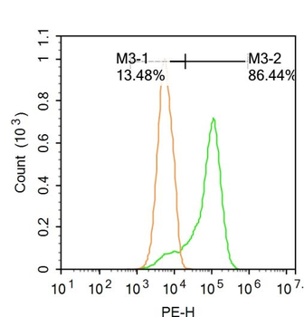 IRE1 Rabbit Polyclonal Antibody