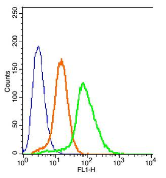 LAR Rabbit Polyclonal Antibody