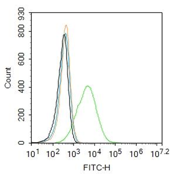 LAR Rabbit Polyclonal Antibody