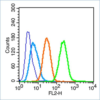MAP1LC3A Rabbit Polyclonal Antibody