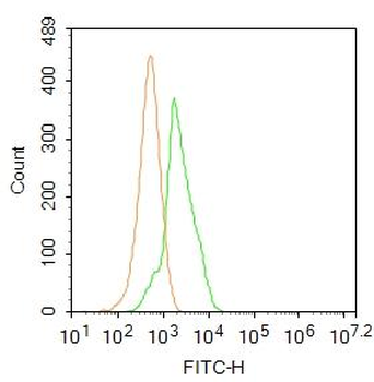 GPR49/LGR5 Rabbit Polyclonal Antibody (BF488)
