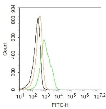 GPR49/LGR5 Rabbit Polyclonal Antibody (BF488)