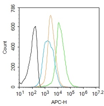 Rad23 Rabbit Polyclonal Antibody