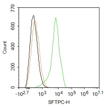 SFTPC Rabbit Polyclonal Antibody