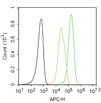 CD163 Rabbit Polyclonal Antibody (BF647)