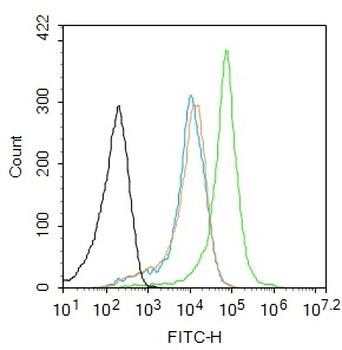 TIFA Rabbit Polyclonal Antibody