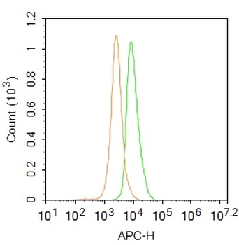 MDH1 Rabbit Polyclonal Antibody (BF647)