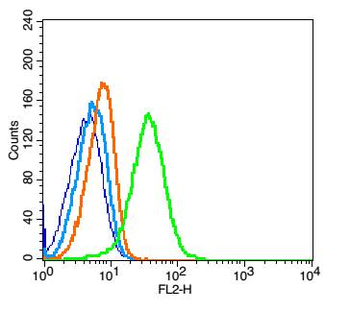 TPOR Rabbit Polyclonal Antibody