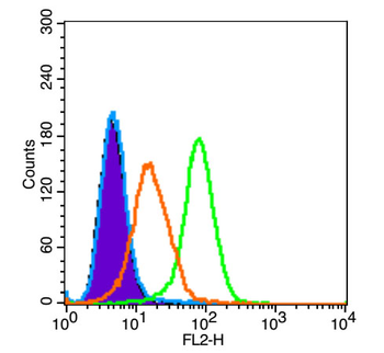 TREM1 Rabbit Polyclonal Antibody