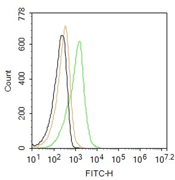 Phospho-AMPK alpha-2 (Thr172) Rabbit Polyclonal Antibody (BF488)