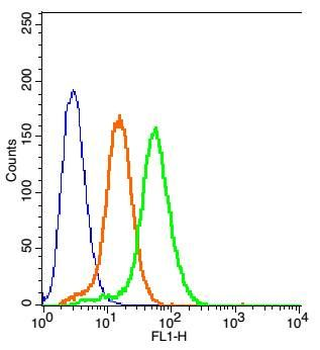GPR78 Rabbit Polyclonal Antibody (BF488)